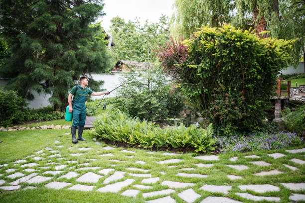Best Mosquito Control Services  in Spring Valley, AZ