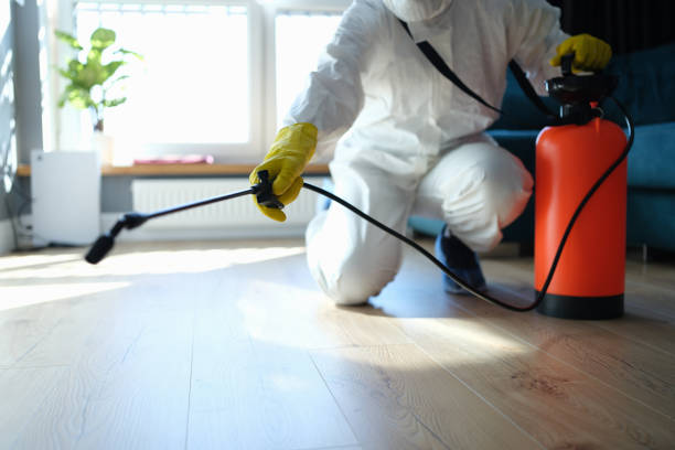 Best Affordable Pest Control Services  in Spring Valley, AZ