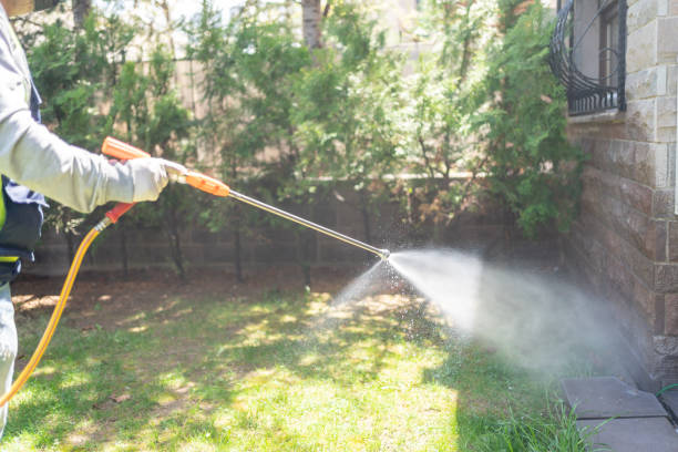 Insect Control in Spring Valley, AZ