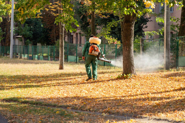 Best Residential Pest Control  in Spring Valley, AZ